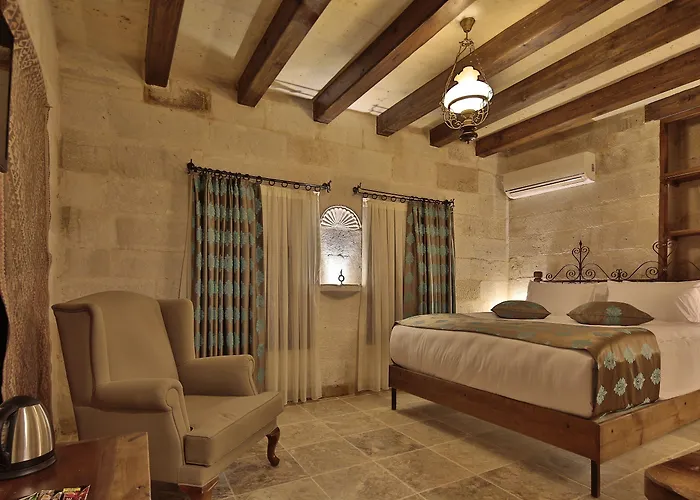 Otel Aren Cave And Art Gallery 2*